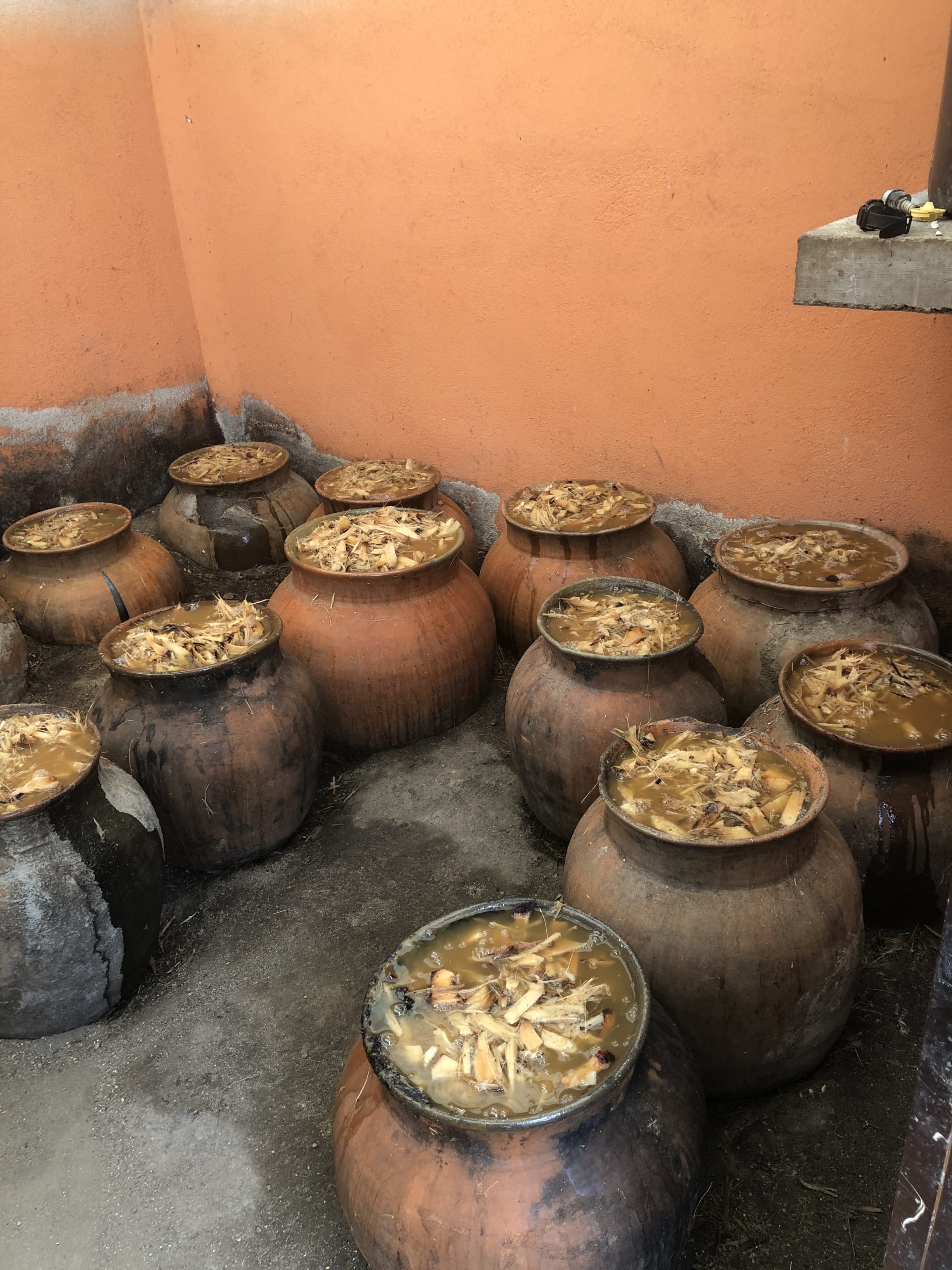 The Agave Roasting Pit